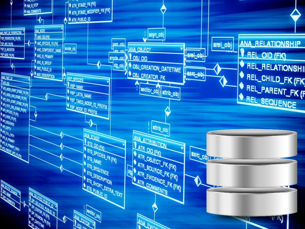 DataBase && SQL金典