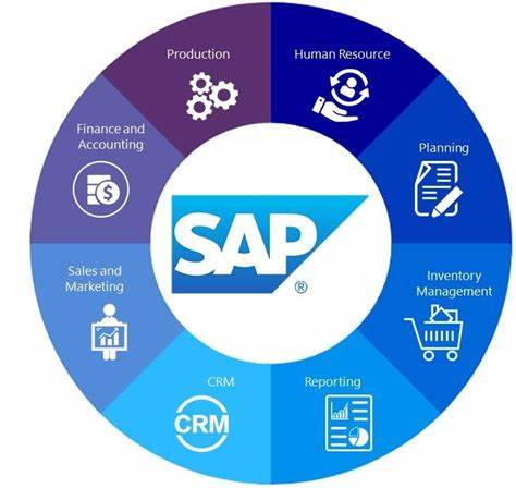 SAP-Business Process (业务流程)
